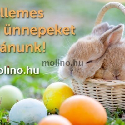 Húsvéti Ünnepek - Molino Kft.